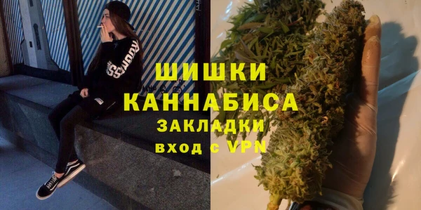 гидра Бронницы
