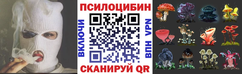 Купить  Саки  Галлюциногенные грибы GOLDEN TEACHER 