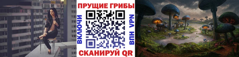 Псилоцибиновые грибы мухоморы Саки